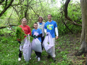 4-23-15-Volunteers pull invasive garlic mustard plants in Detroit's Rouge Park