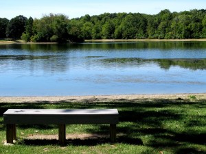 12-15-15-The lake south of Sylvan Glen Golf Course